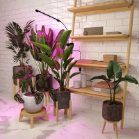 Настольная лампа для растений Fito FT-004 чёрный Elektrostandard