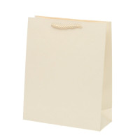 Пакет подарочный M (бумага 210г/м2, блок микс12шт), L26 W10 H32 см, 5в.