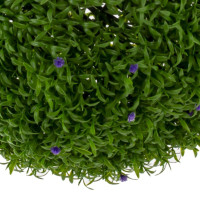 Цветочная композиция "Шар Самшит", L35 W35 H35 см