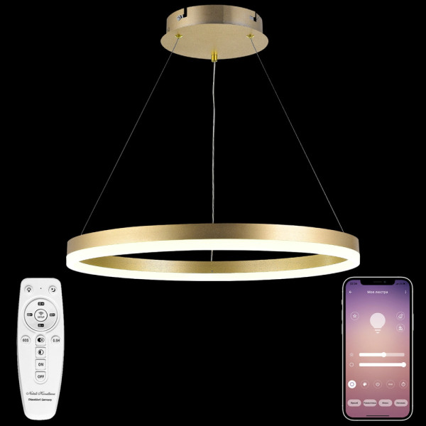 Подвесной светильник LED LIGHT LED LAMPS 81296 Natali Kovaltseva