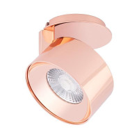 Светодиодный модуль Arlight Plurio-Lamp-R77-9W Day4000 030257 Светодиодный модуль Arlight Plurio-Lamp-R77-9W Day4000 030257
