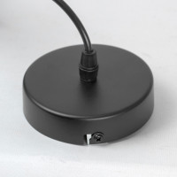 Подвесной светильник Miller LSP-8925 Lussole