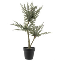 Цветочная композиция "Папоротник", L20 W20 H66 см