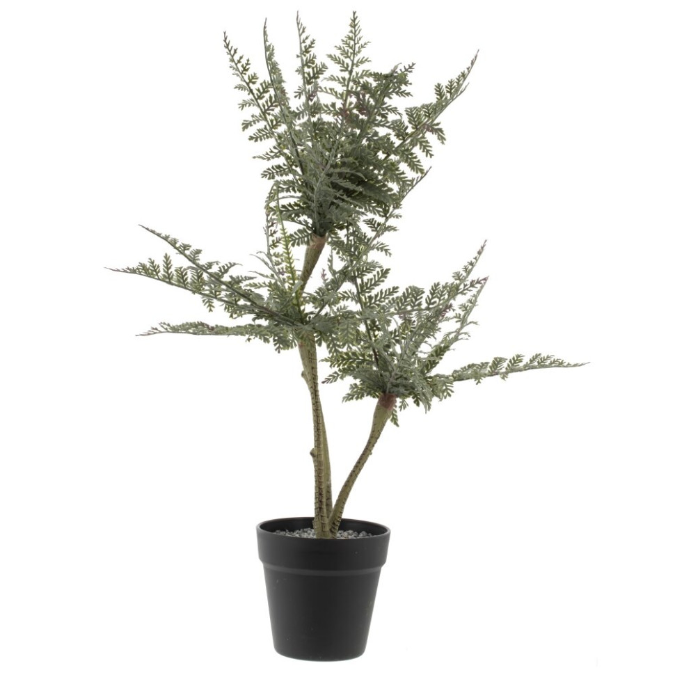 Цветочная композиция "Папоротник", L20 W20 H66 см