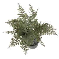 Цветочная композиция "Папоротник", L20 W20 H66 см