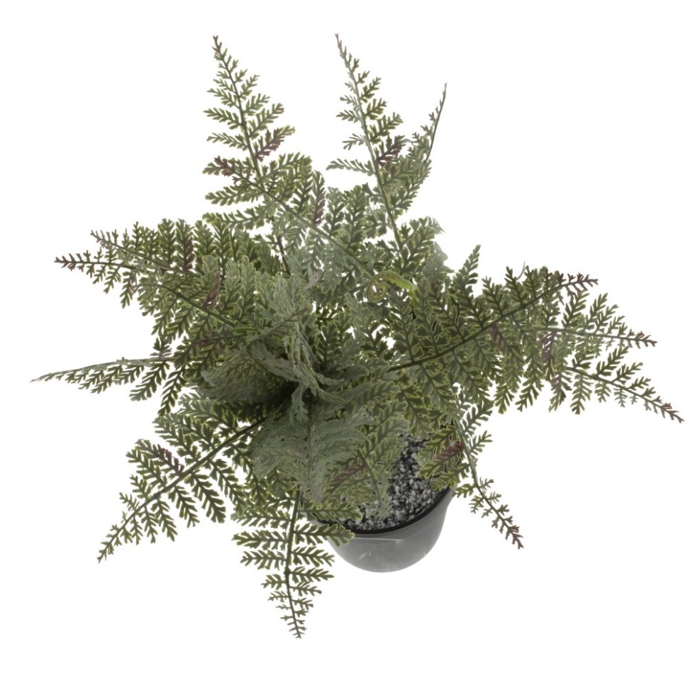 Цветочная композиция "Папоротник", L20 W20 H66 см