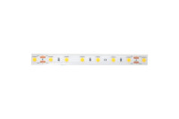 Светодиодная лента LUX DSG560-24-NW-65 DesignLed