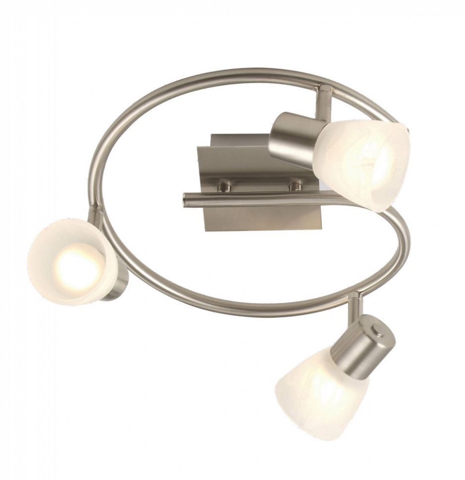 Спот Parry 54530-3 Globo