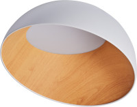 Потолочный светильник Baum ZRS.01201.19 Zortes