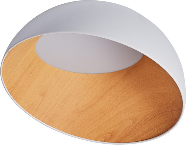 Потолочный светильник Baum ZRS.01201.19 Zortes