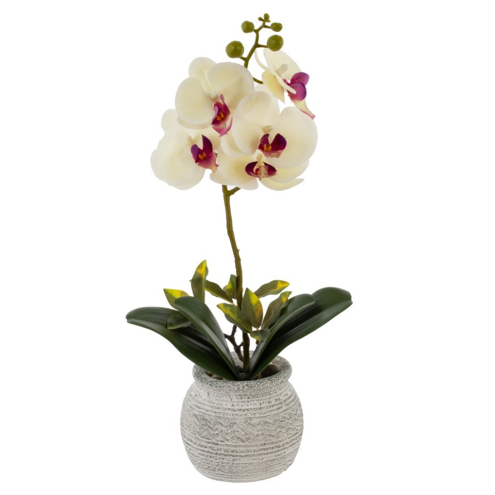 Цветочная композиция "Орхидея", L18 W15 H34 см