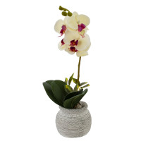 Цветочная композиция "Орхидея", L18 W15 H34 см