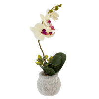 Цветочная композиция "Орхидея", L18 W15 H34 см