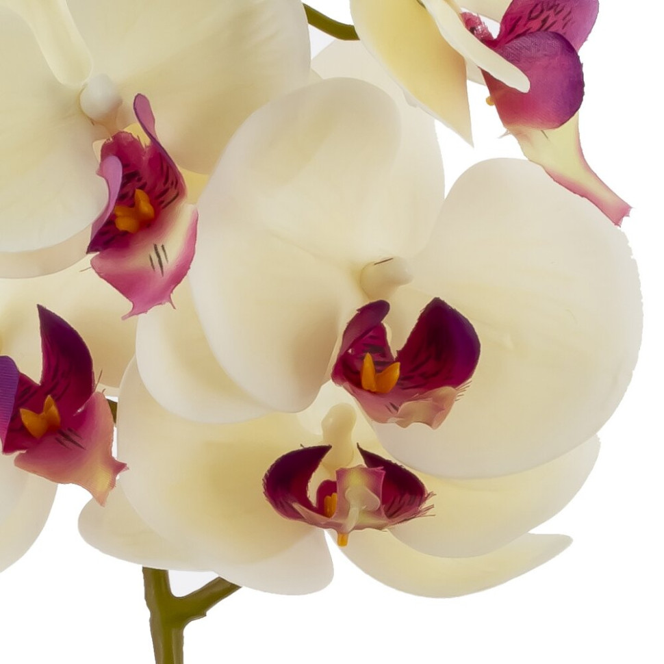 Цветочная композиция "Орхидея", L18 W15 H34 см