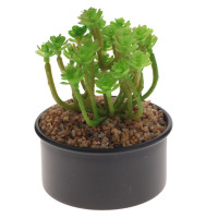 Цветочная композиция, L13 W13 H20 см