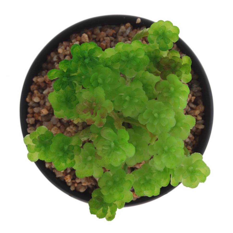 Цветочная композиция, L13 W13 H20 см