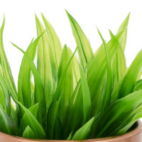 Цветочная композиция, L7 W7 H15 см