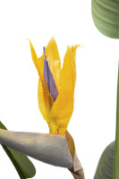 Куст стерлиции искусственный в горшке Куст стерлиции искусственный в горшке