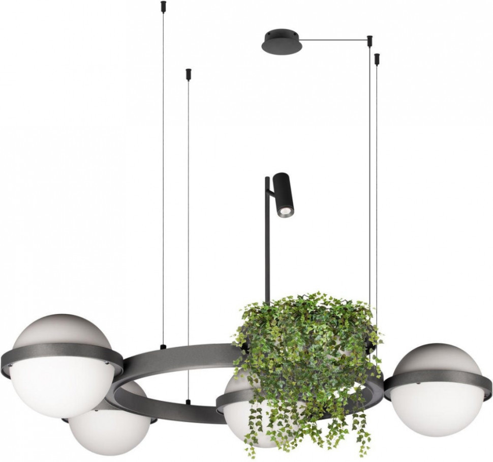 Подвесной светильник Jardin 10121/4 Dark grey Loft It