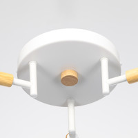 Потолочная люстра Tika CL133130 Citilux