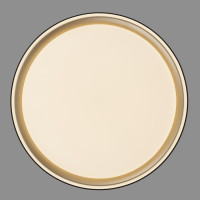 Потолочный светильник Boss CL751251G Citilux Потолочный светильник Boss CL751251G Citilux