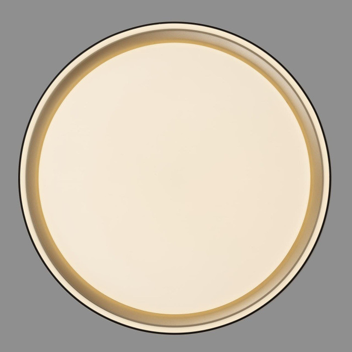 Потолочный светильник Boss CL751251G Citilux