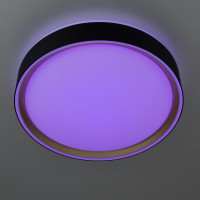 Потолочный светильник Boss CL751251G Citilux Потолочный светильник Boss CL751251G Citilux