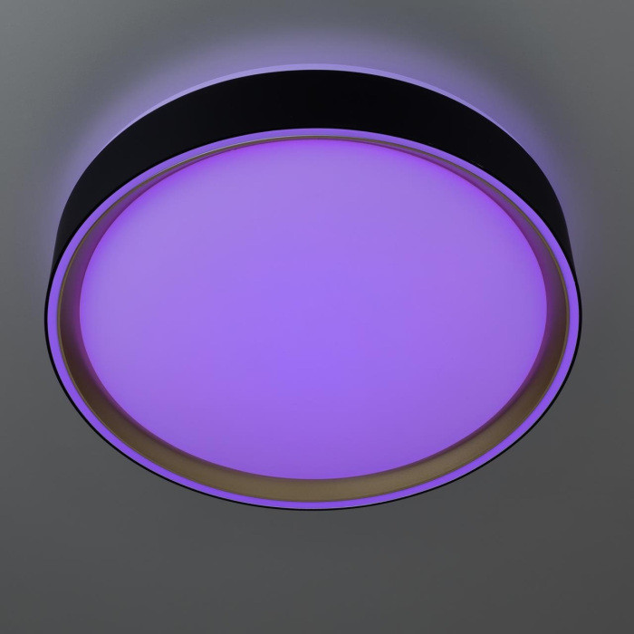 Потолочный светильник Boss CL751251G Citilux