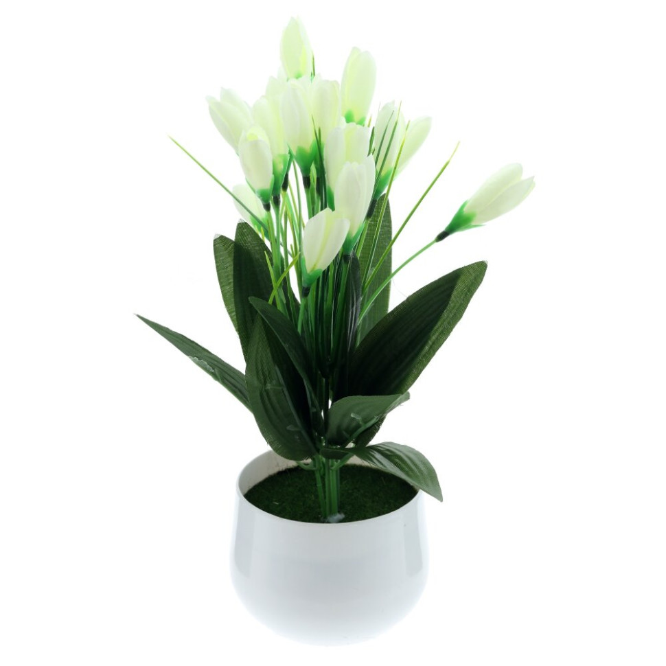 Цветочная композиция "Крокусы", L18 W12 H28 см