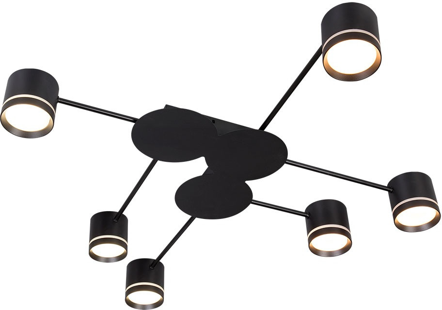 Потолочная люстра Legacy A8024PL-6BK Arte Lamp