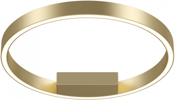 Потолочный светильник Rim MOD058CL-L25BSK Maytoni