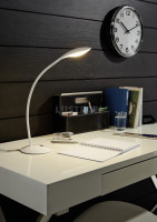 Офисная настольная лампа Calpo 93891 Eglo Офисная настольная лампа Calpo 93891 Eglo