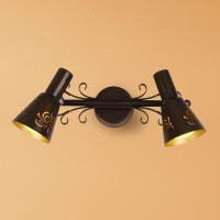 Спот Дункан CL529521 Citilux