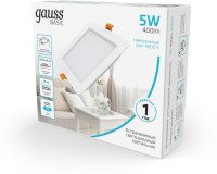 Точечный светильник Downlight 9031420205 Gauss