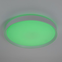 Потолочный светильник Boss CL751450G Citilux