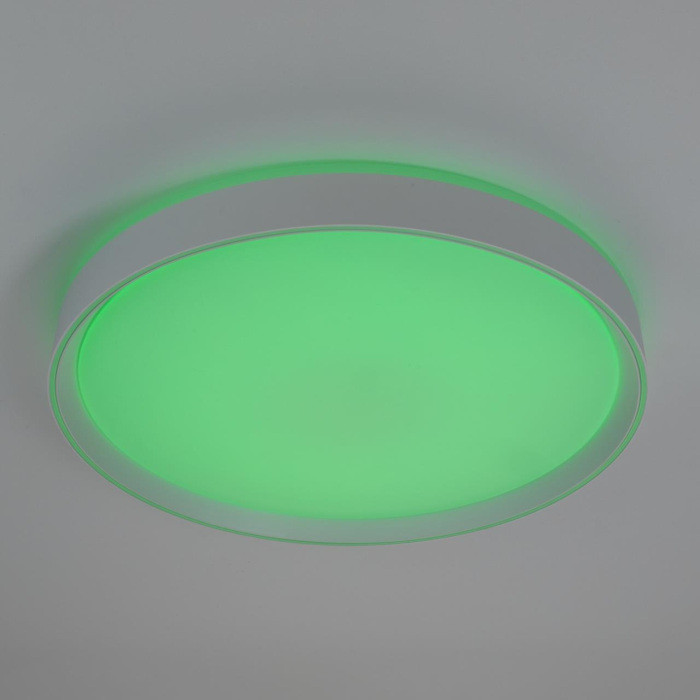 Потолочный светильник Boss CL751450G Citilux