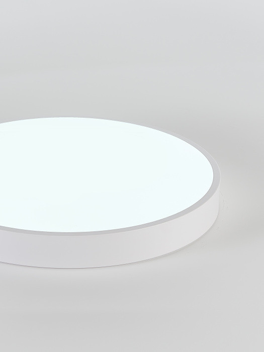 Потолочный светильник  LED LAMPS 81112/5C Natali Kovaltseva