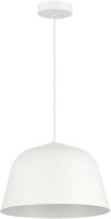 Подвесной светильник Blank SLE1805-503-01 Evoluce