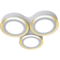 Потолочный светильник  1017 Adilux