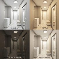 Потолочный светильник Cany DK6515-WH Denkirs