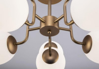 Потолочная люстра Maytoni Erich MOD221PL-10G