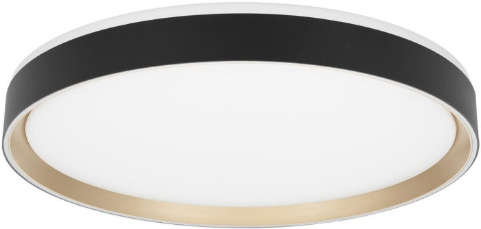 Потолочный светильник Boss CL751451G Citilux