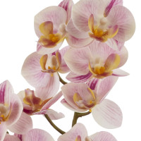 Цветочная композиция, L15 W13,5 H39 см
