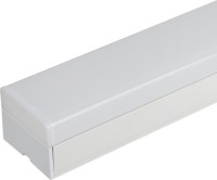 Настенно-потолочный светильник  SML-11-WB-40K-W24 ЭРА