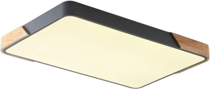 Потолочный светильник Alberro ZRS.01277.60 Zortes