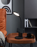 Офисная настольная лампа Brolini 900528 Eglo