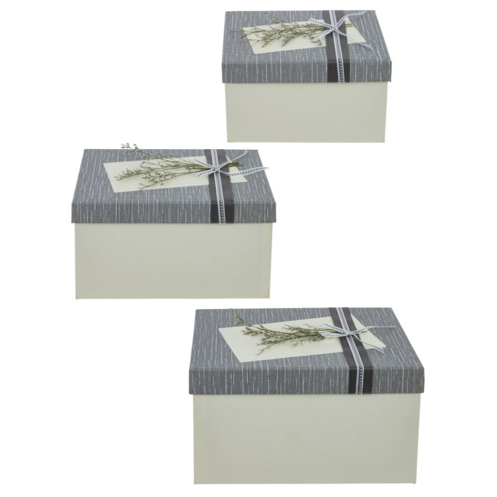 Набор из 3-х коробок подарочных, L19 W26 H15 см, 2в.