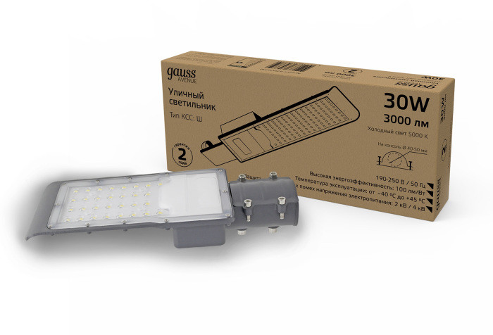 Уличный консольный светильник Avenue 629534330 Gauss