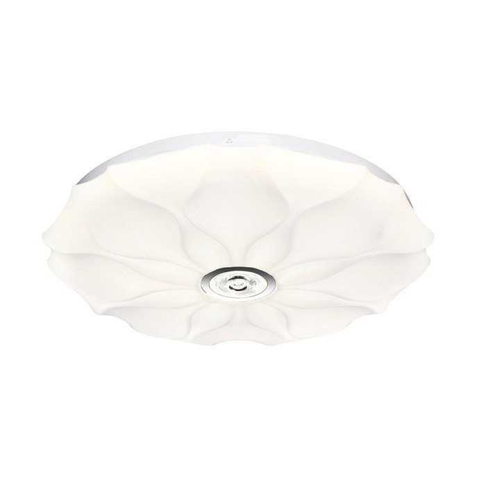 Настенно-потолочный светильник Roni 7688/DL Sonex