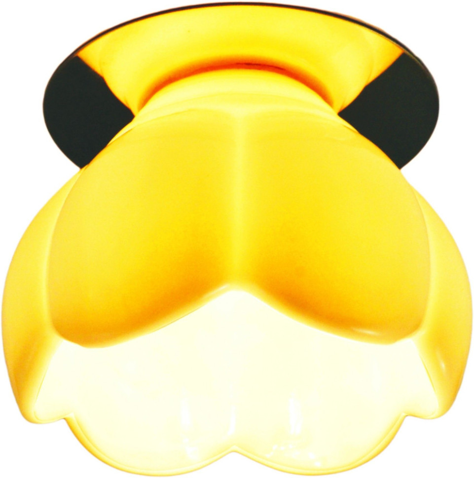 Точечный светильник Occhio A8806PL-1CC Arte Lamp